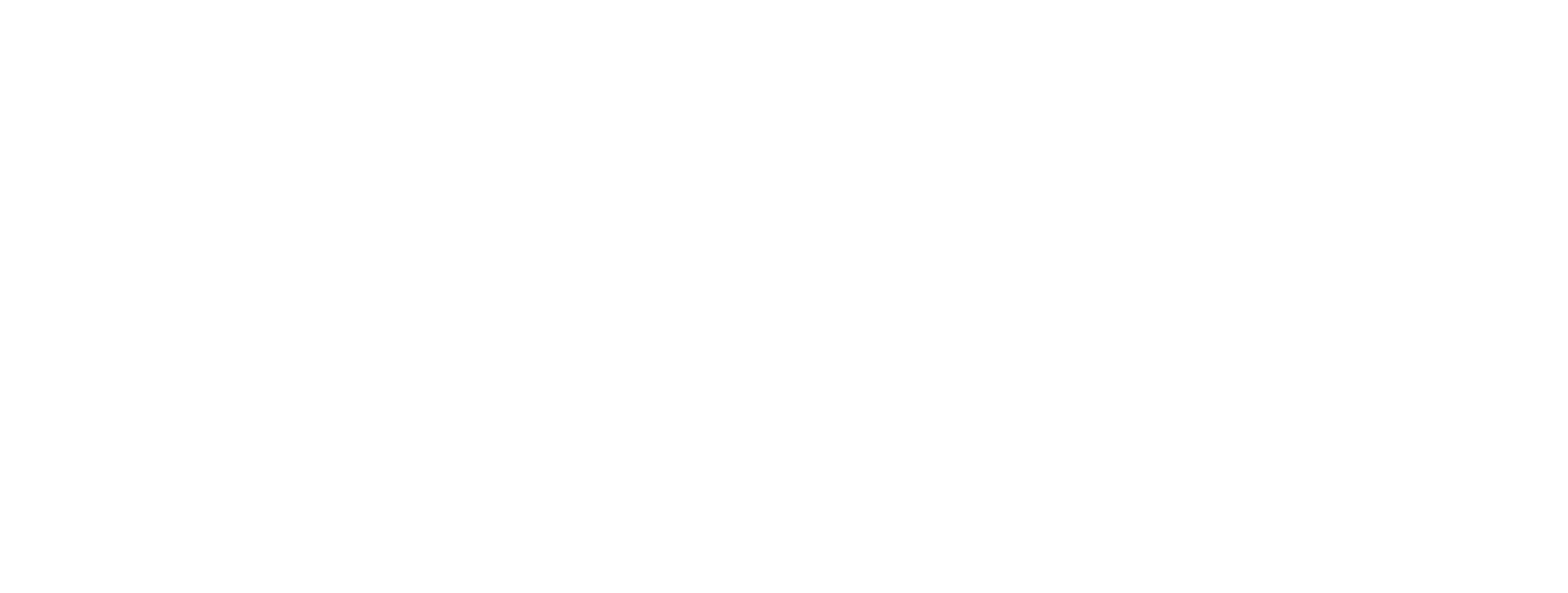 فروشگاه پانیس کاکشن